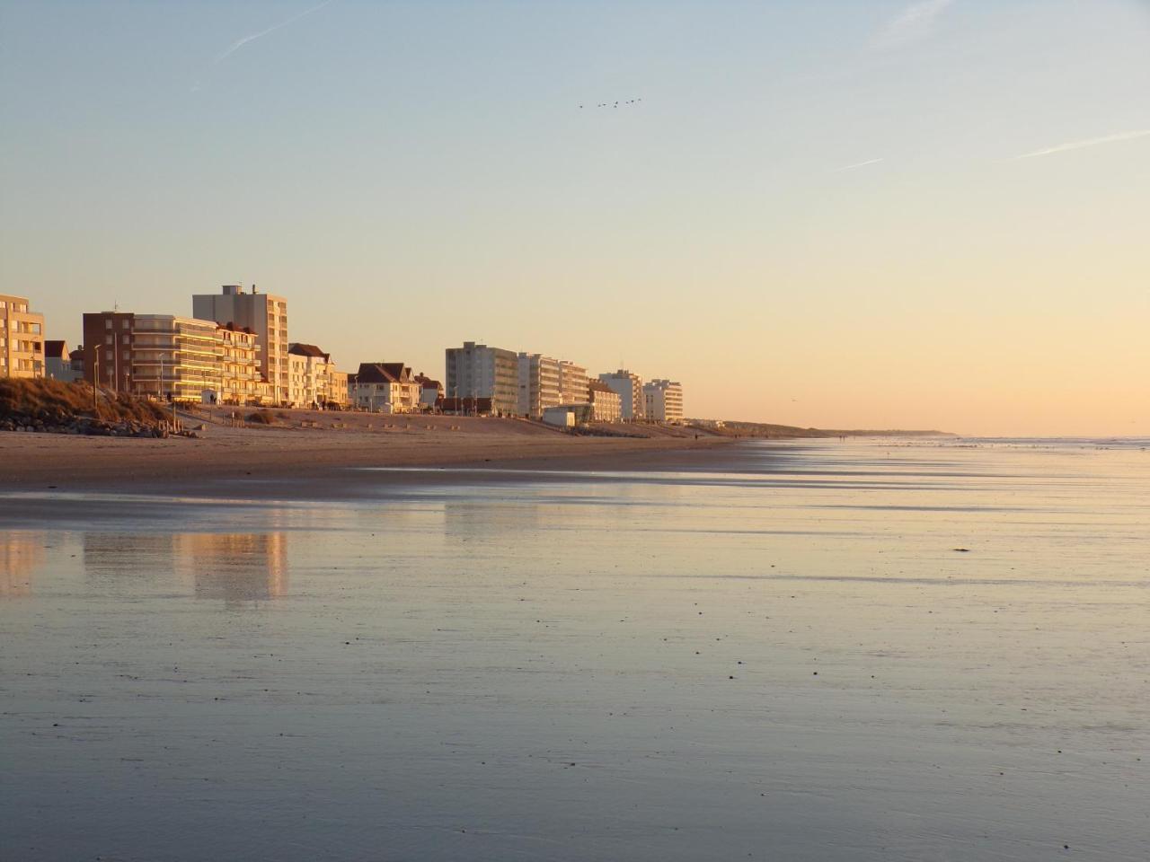 Le Regina Hotel Restaurant Hardelot-Plage Eksteriør bilde